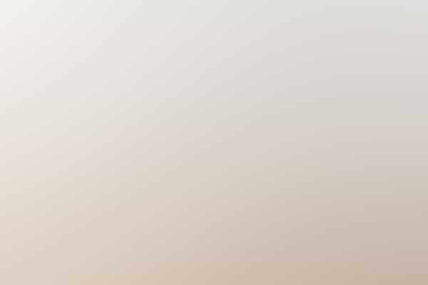 Free Bootstrap Template 