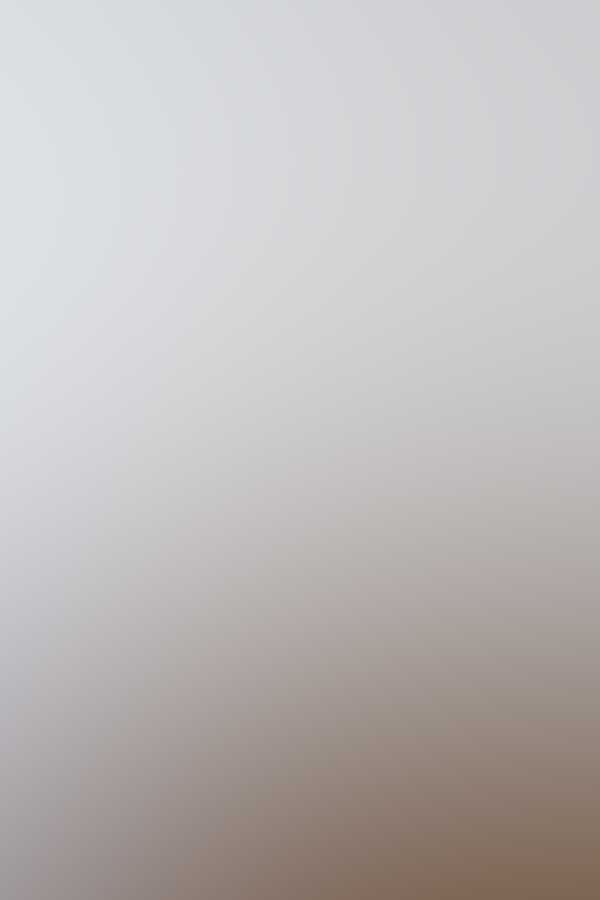 Free Bootstrap Template 