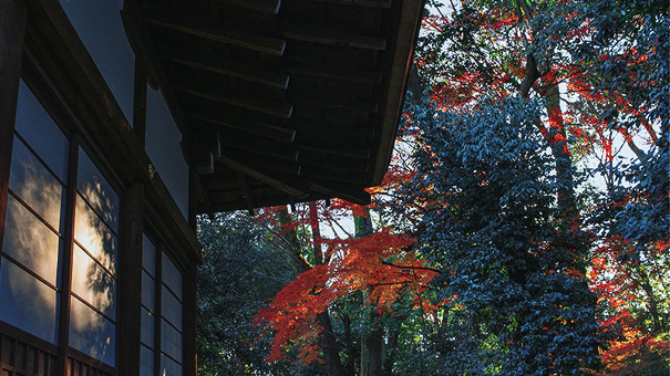 远方 有一个地�?那里种有我们的梦�?/>
               
            </a>
        </div>
      </li>
      <li>
        <div class=