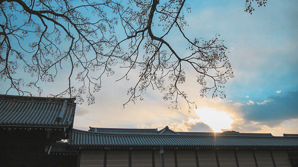 不要太担�?只因为我相信