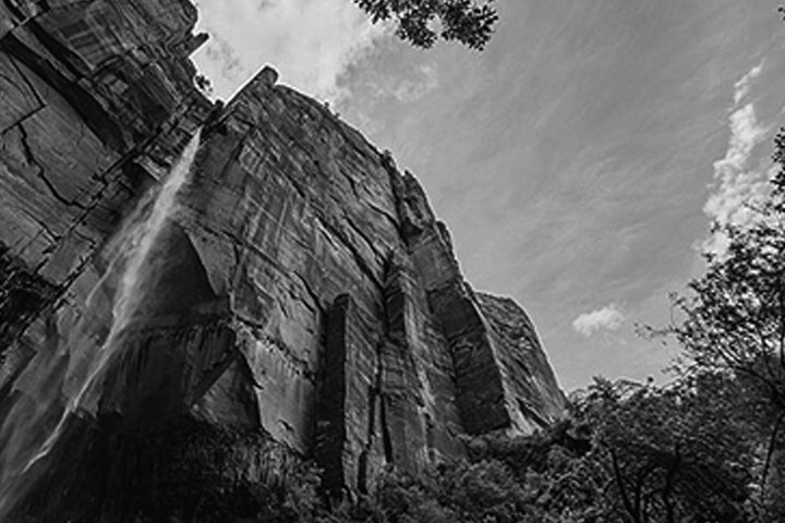 blog image